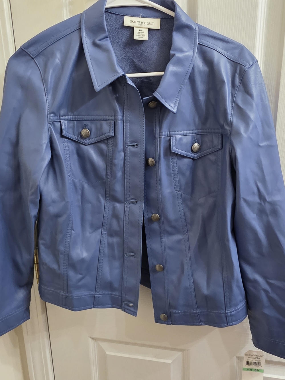 Skye's the Limit Periwinkle Leather Button-Front Jacket